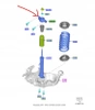 GÓRNE MOCOWANIE TYLNEGO AMORTYZATORA MONDEO Mk5 OE 5278397_ DG9C-18A116-AXF
