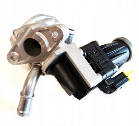 Zawór EGR Citroen OE Jumper III 2,2D 9800555380