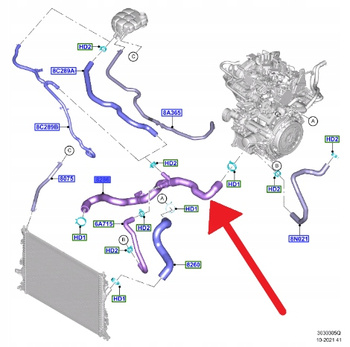 PRZEWÓD CHŁODZENIA WODY 1.0 EB FORD FOCUS 2020- 2474617 _ LX61-8286-HBE