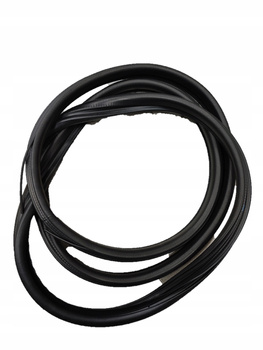 Uszczelka drzwi przód prawa lewa C3 Picasso 9025K9