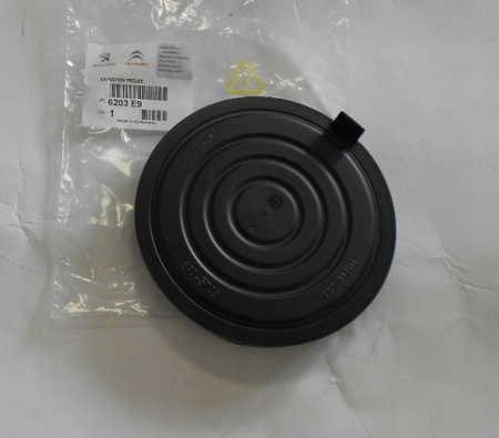 ŚWIATŁO DO JAZDY DZIENNEJ LEWE LED CITROEN C3 OE 9833480680