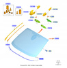 SZYBA PRZEDNIA FORD FIESTA Mk8 2022- OE 2628829 _ H1BB-A03100-CH