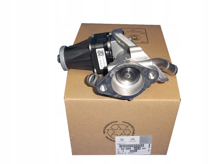 Zawór EGR Citroen OE Jumper III 2,2D 9800555380