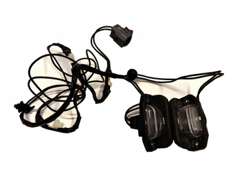 ŚWIATŁA TABLICY REJESTRACYJNEJ FORD RANGER Mk5_1729483_AB39-13550-AA