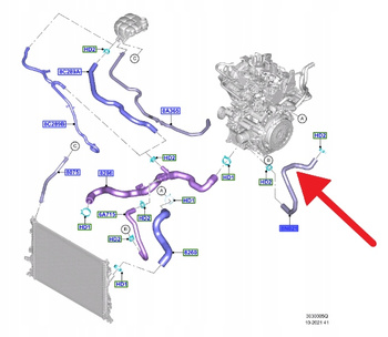 PRZEWÓD CHŁODZENIA WODY 1.0 EB FORD FOCUS 2018- 2427650 _ JX61-8N021-FE