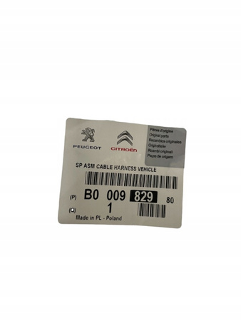 Wiązka przewodu dachu otwieranego Citroen OE B0 009 829 80