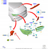 ŚWIATŁO PRZECIWMGIELNE LEWE TYLNE FORD KUGA Mk3_2460724_LV4B-15K273-AB