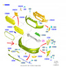 ZDERZAK PRZÓD FORD TRANSIT MK7 2014- MK8 2019- 2404367 _ KK31-R17757-BD5YZ9