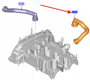 ODMA PRZEWÓD ODPOWIETRZANIA FORD 1.0 Ecoboost 2062060 _ CM5G-6K817-CB