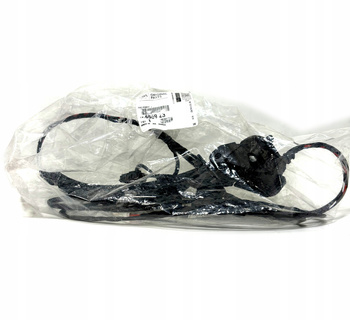 Instalacja Drzwi Tył Jumper Boxer Ducato 3 6559Z3 OE