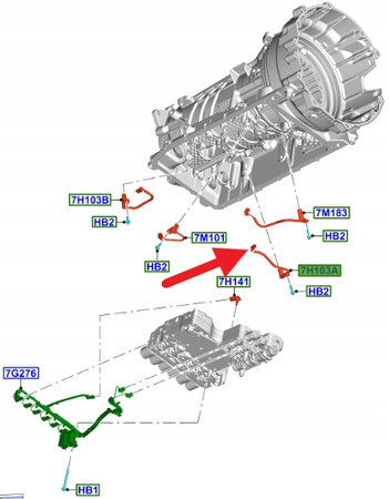 CZUJNIK OBROTOWY 10R80 FORD RANGER MUSTANG 2017- OE 2350526 _ L1MP-7H103-AA