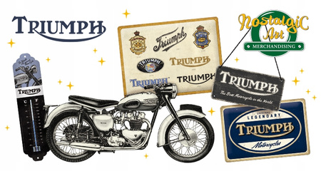 NOTATNIK A5 FORD BUSSINES ORYGINALNY