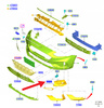 KRATKA HALOGENU PRAWY PRZÓD FORD FOCUS 2018- 2022 2369991 _ JX7B-15A298-SB