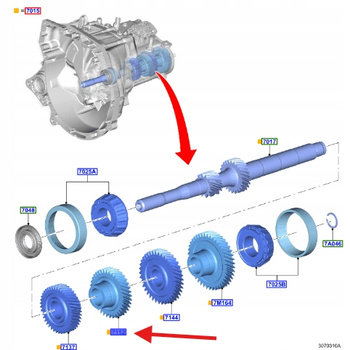 KOŁO ZĘBATE BIEG 4-TY FORD RÓŻNE MODELE 2116578 _ H1BR-7112-AFAA