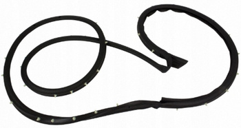 USZCZELKA DRZWI PRAWY PRZÓD FORD ECOSPORT 2013- 1888144 _ DN15-N20530-AB