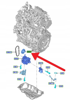 KOŁO ZĘBATE POMPU OLEJU 2.0 ECOBLUE FORD FOCUS OE 2100899 _ GK2Q-6A893-AB