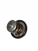Termostat Citroen Jumper Peugeot Boxer 1338F5