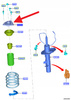 MOOWANIE AMORTYZATORA PRZÓD FORD FOCUS RS 2016- 2033575 _ G1FY-3K155-RB