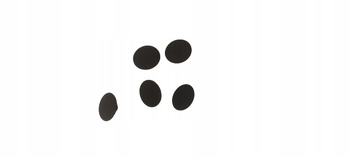 Spinki - Mazda 2 3 5 6 323 626 CX-7 CX-9 Xedos-6/9_GA2A56694