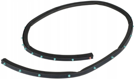 USZCZELKA DOLNA DRZWI PRAWA FORD MUSTANG 2015- OE 5321838 _ FR3B-6320530-AE