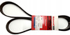 PASEK KLINOWY FORD COUGAR MONDEO Mk2 BENZYNA _ 4330326 _ XS2E-8620-NB