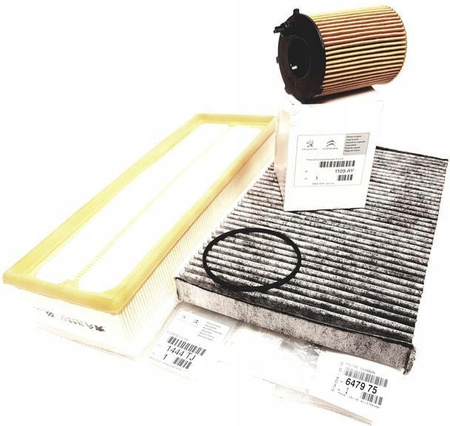 Filtr Oleju 1.6 Hdi 1109AY DV6 Citroen