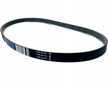 Citroen OE pasek klinowy wielorowkowy 9819833280