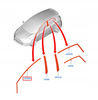 PRAWA LISTWA ZEWNĘTRZNA DRZWI FORD FIESTA Mk7 08- 1546808 _ 8A61-A20898-AC