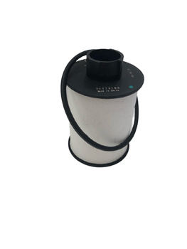 Filtr paliwa oryginał Citroen Jumper III 2,2 3,0 OE 1631487880