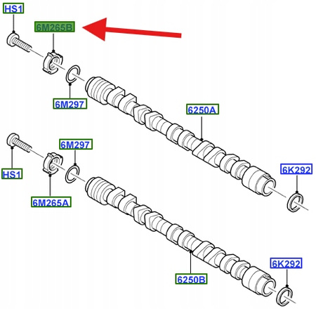 KOŁO ZMIENNYCH FAZ ROZRZĄDU 2.5 SMAX KUGA 2008- OE 1371759 _ 6M5G-6M265-BA