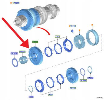 KOŁO ZĘBATE 1. BIEGU MANUAL 6MX65 FORD FIESTA KA+ 2118430 _ H1BR-7M161-AFBB