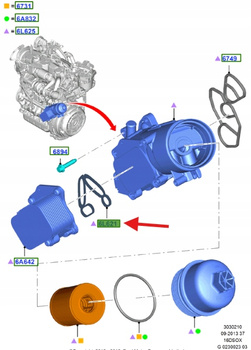 USZCZELKI CHŁODNICY OLEJU B-MAX C-MAX FOCUS MONDEO 1145944 _ 2S6Q-6A646-AA