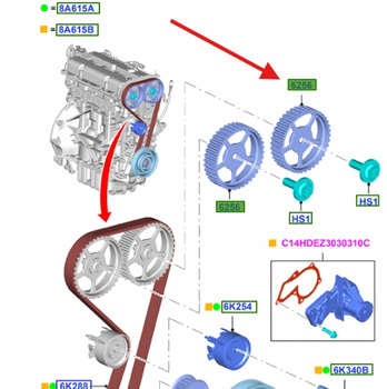 KOŁO ZĘBATE WAŁKA ROZRZĄDU FORD FOCUS FIESTA 1072045 _ 98MM-6256-AC