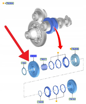 KOŁO ZĘBATE 1. BIEGU MANUAL B6 1.5 TDCI KUGA FOCUS 2260255 _ JX6R-7M161-AHA