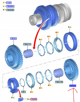 KOŁO ZĘBATE 2. BIEG MT6 FORD KUGA C-MAX GALAXY 1729446 _ 7G9R-7M162-WB
