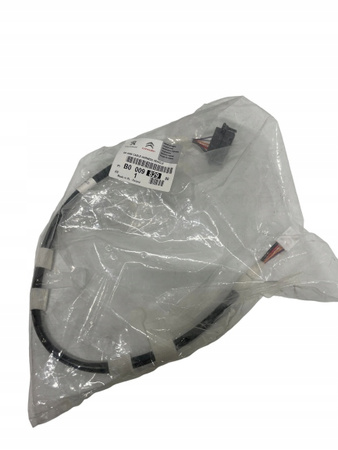 Wiązka przewodu dachu otwieranego Citroen OE B0 009 829 80