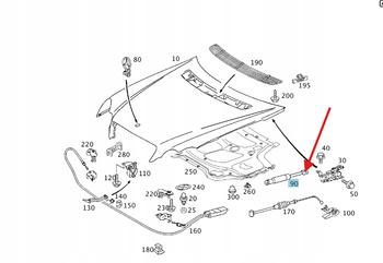 PRAWY SIŁOWNIK MASKI SPRĘŻYNA GAZOWA MERCEDES C W203 CLK W209 A2038800029