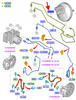 RURKA HAMULEC B-MAX 13- FIESTA 2015- OE 1826838 _ D1BC-2M020-AA