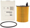 Filtr Oleju 1.6 Hdi 1109AY DV6 Citroen