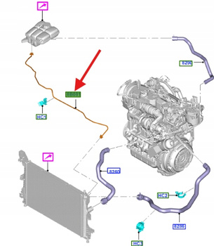PRZEWÓD CHŁODNICY WODY 1.5 1.6 TDCi C-MAX FOCUS 1703510 _ BV61-8C012-AA