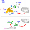 MOCOWANIE HALOGENU PRAWY FORD MONDEO MK5 2014-2019_1859913_DS73-15266-BB
