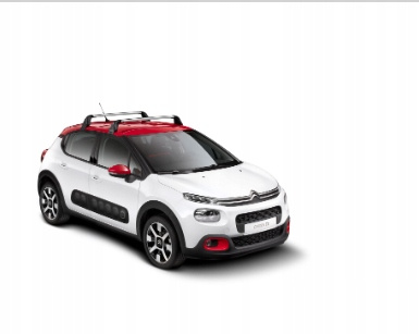 Belki dachowe Citroen C3 OE 1613434380