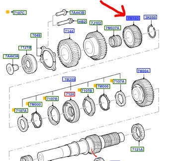 KOŁO ZĘBATE 3. BIEGU FORD TRANSIT 2004-2007 manual _1384553_4C1R-7M163-AB