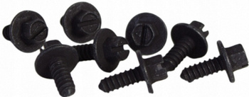 ZESTAW ŚRUB DO TABLICY REJESTRACYJNEJ FORD MUSTANG 4907338 _ AR33-17A386-AA