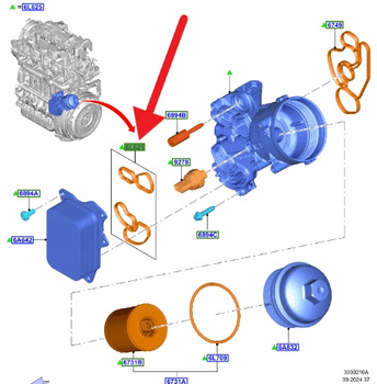 USZCZELKA CHŁODNICY OLEJU 1.5 TDCI PUMA CONNECT 18- 2189427 _ JX6Q-6A646-AA