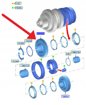 KOŁO ZĘBATE 3. BIEGU MMT6 FORD ECOSPORT MONDEO 1871332 _ DG9R-7M163-HCA