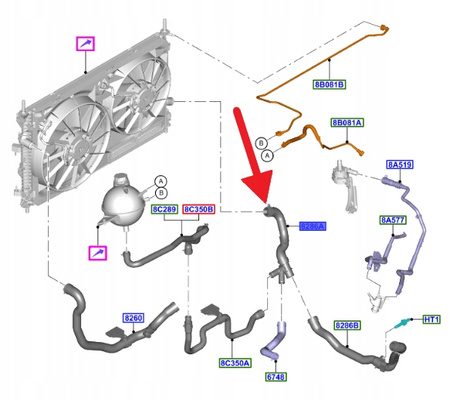 PRZEWÓD DOLNY CHŁODNICY 2.0 ECOBLUE TRANSIT CUSTOM 2361681 _ KK21-8286-BA