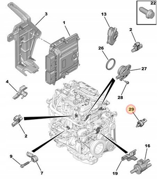 CZUJNIK TEMPERATURY OLEJU CITROEN C3 C4 C5 JUMPER JUMPY OE 9828711180