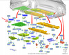 PRZEDŁUŻENIE NADKOLA LEWY PRZÓD FORD KUGA Mk3 2020- 2386127 _ LJ6B-16B075-AB