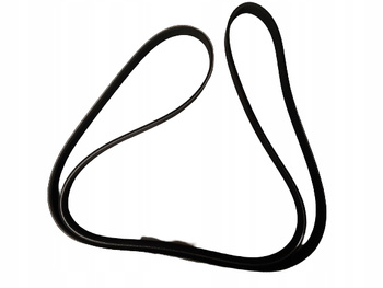 Pasek wielorowkowy - Mazda 3 BL_Z60115909A